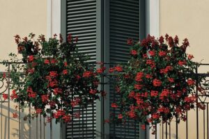 PiuPersiane_0011_gallery_39